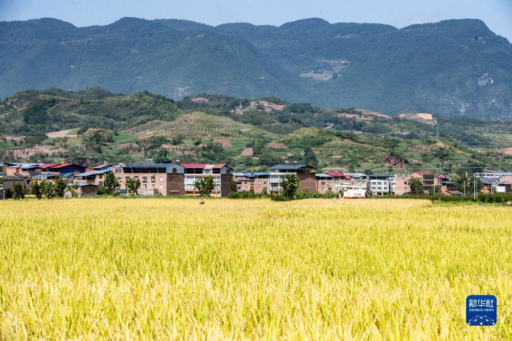 宝博打鱼